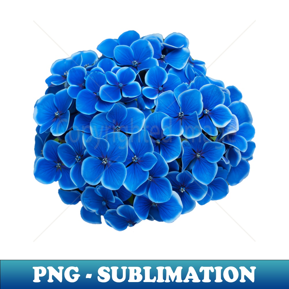 Blue Hydrangea Flower Art Print - Decorative Sublimation PNG File