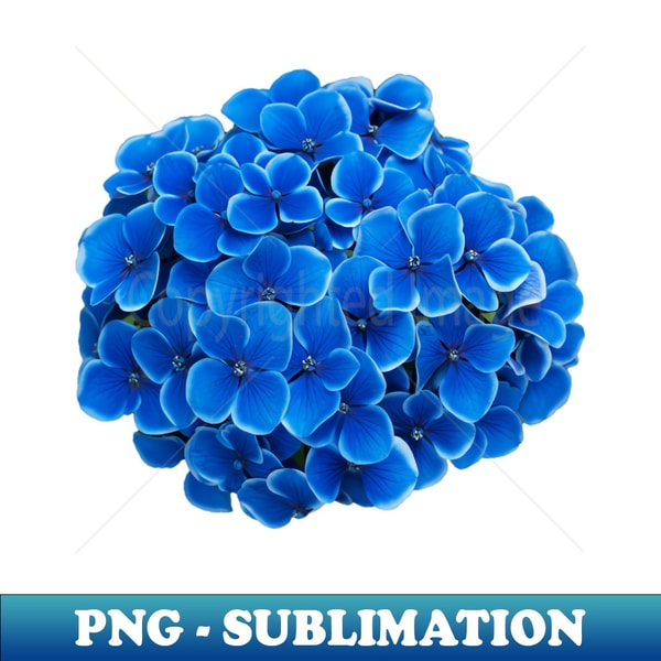 Blue Hydrangea Flower Art Print - Decorative Sublimation PNG File