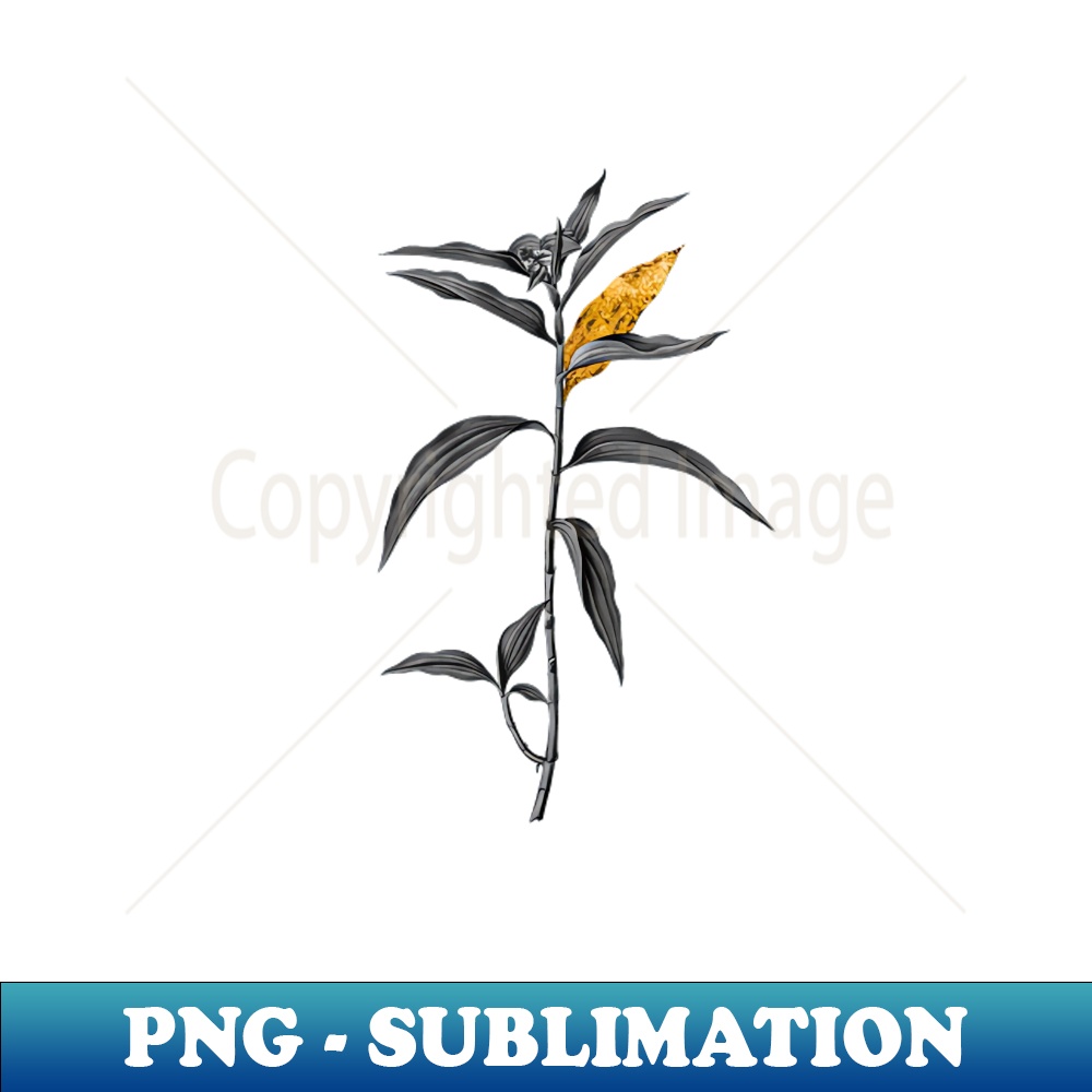 Black and Gold Leaf - Dayflower - Vintage Botanical - Premium Sublimation Digital Download