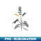 Black and Gold Leaf - Blooming Sage Plant - Vintage Botanical - Unique Sublimation PNG Download