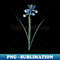 Vintage Spanish Iris Botanical Illustration - Trendy Sublimation Digital Download