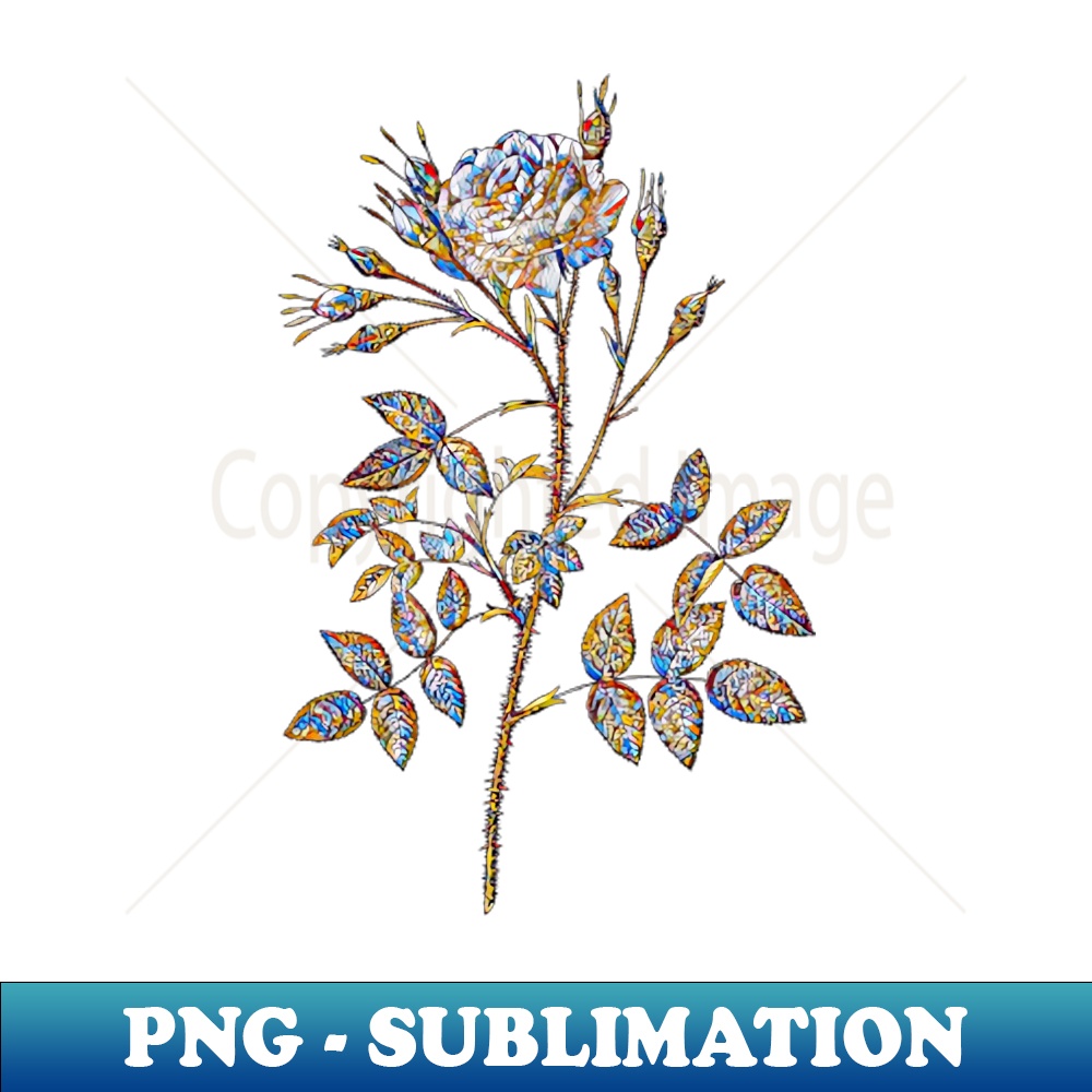 Stained Glass White Rose of Rosenberg Botanical Illustration - Retro PNG Sublimation Digital Download