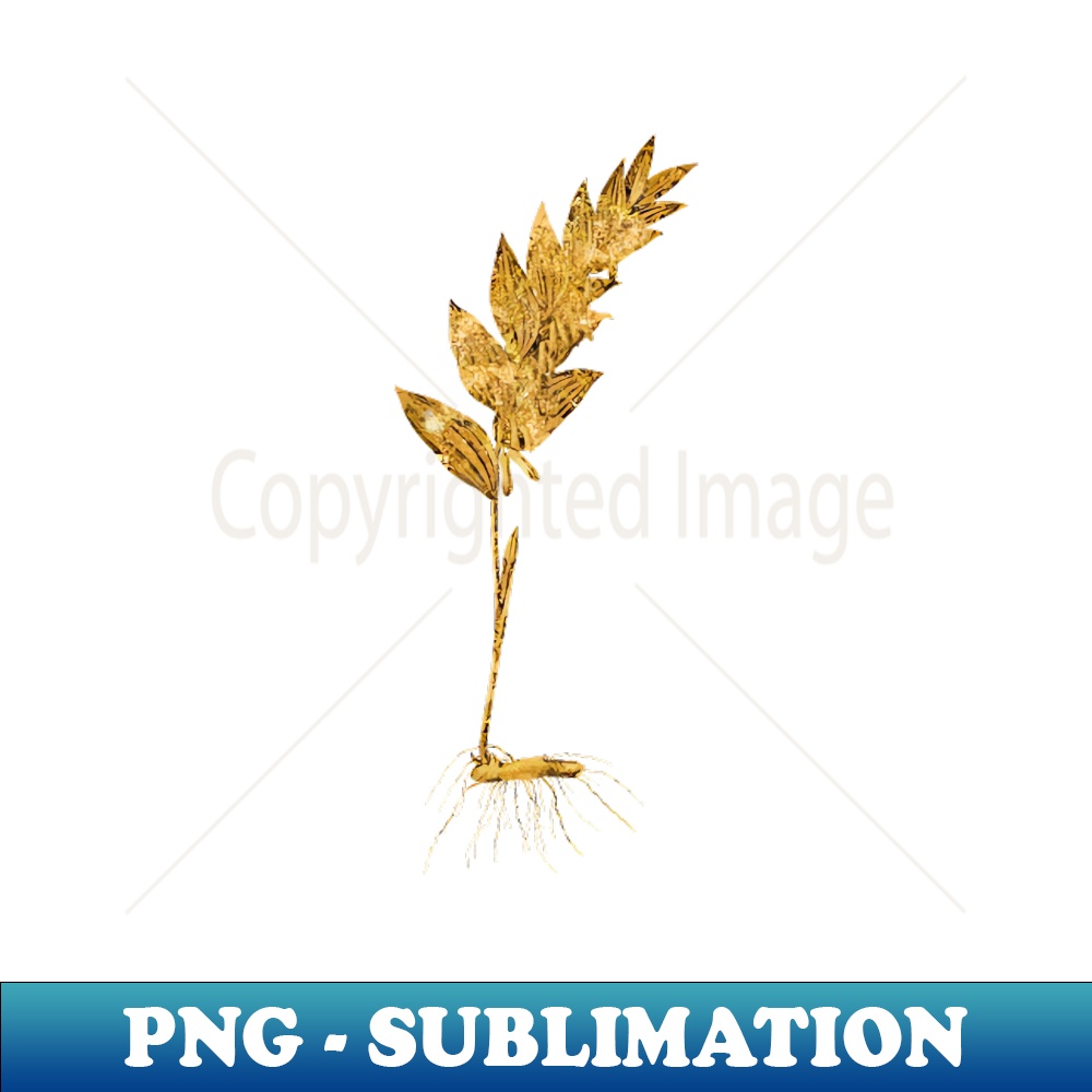 Vintage Gilded Angular Solomon's Seal Botanical Gold Leaf - Decorative Sublimation PNG File