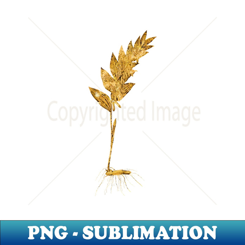 Vintage Gilded Angular Solomon's Seal Botanical Gold Leaf - Decorative Sublimation PNG File
