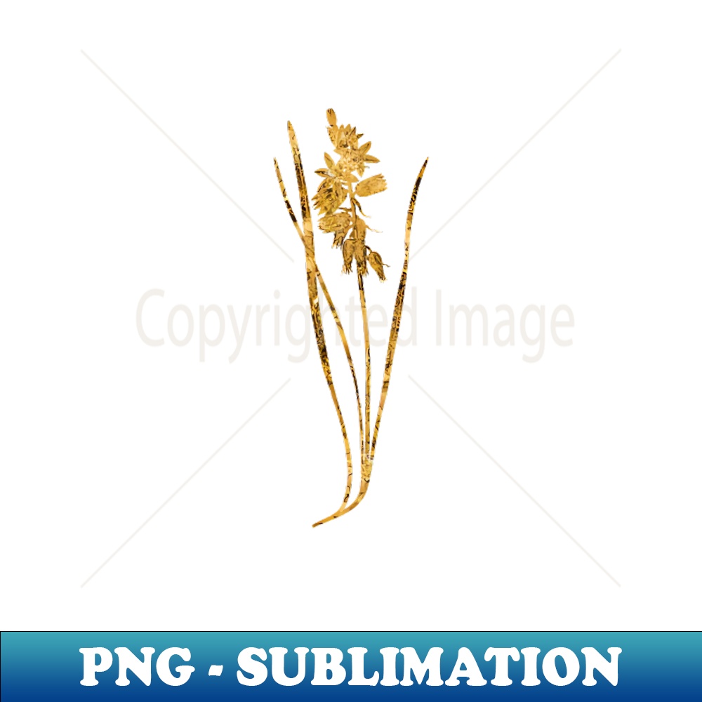 Vintage Gilded Drooping Star of Bethlehem Botanical Gold Leaf - Instant Sublimation Digital Download
