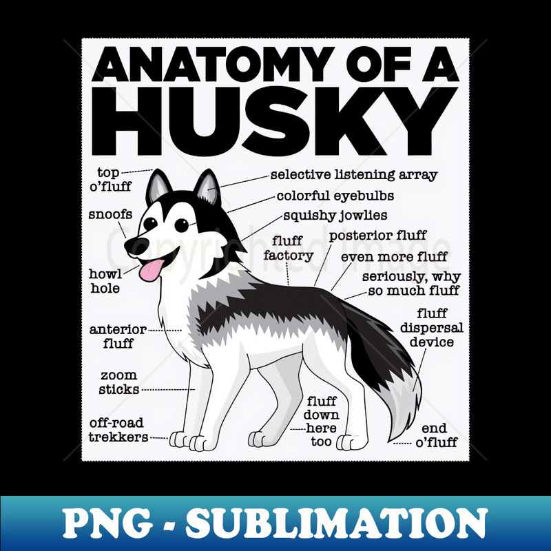 Anatomy of a Husky - PNG Transparent Digital Download File for Sublimation