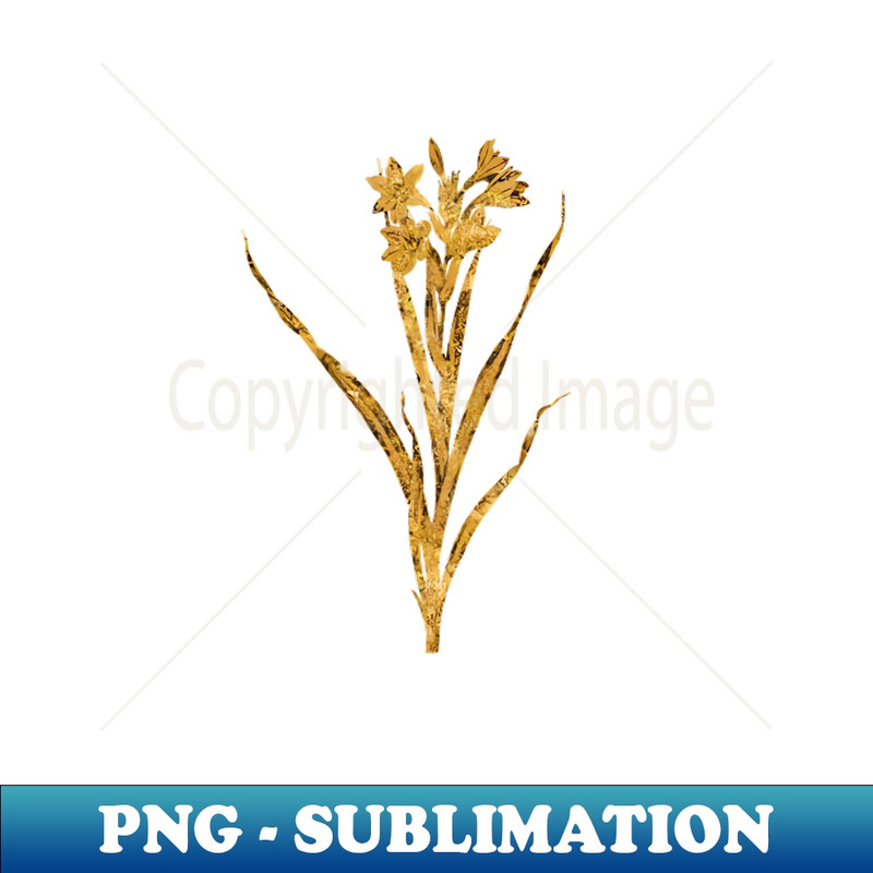 Vintage Gilded Sword Lily Botanical Gold Leaf - Aesthetic Sublimation Digital File