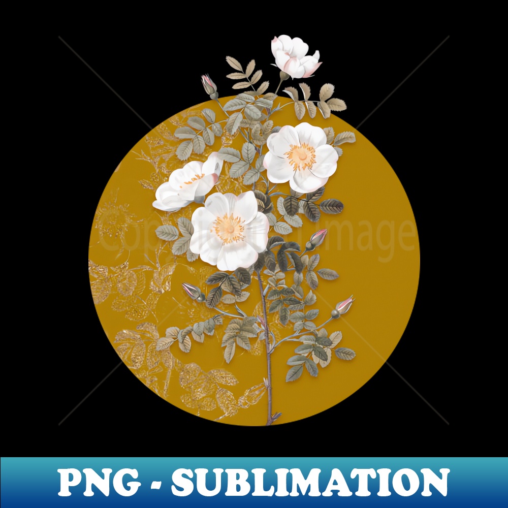 Vintage White Burnet Roses Botanical Illustration on Circle - Retro PNG Sublimation Digital Download