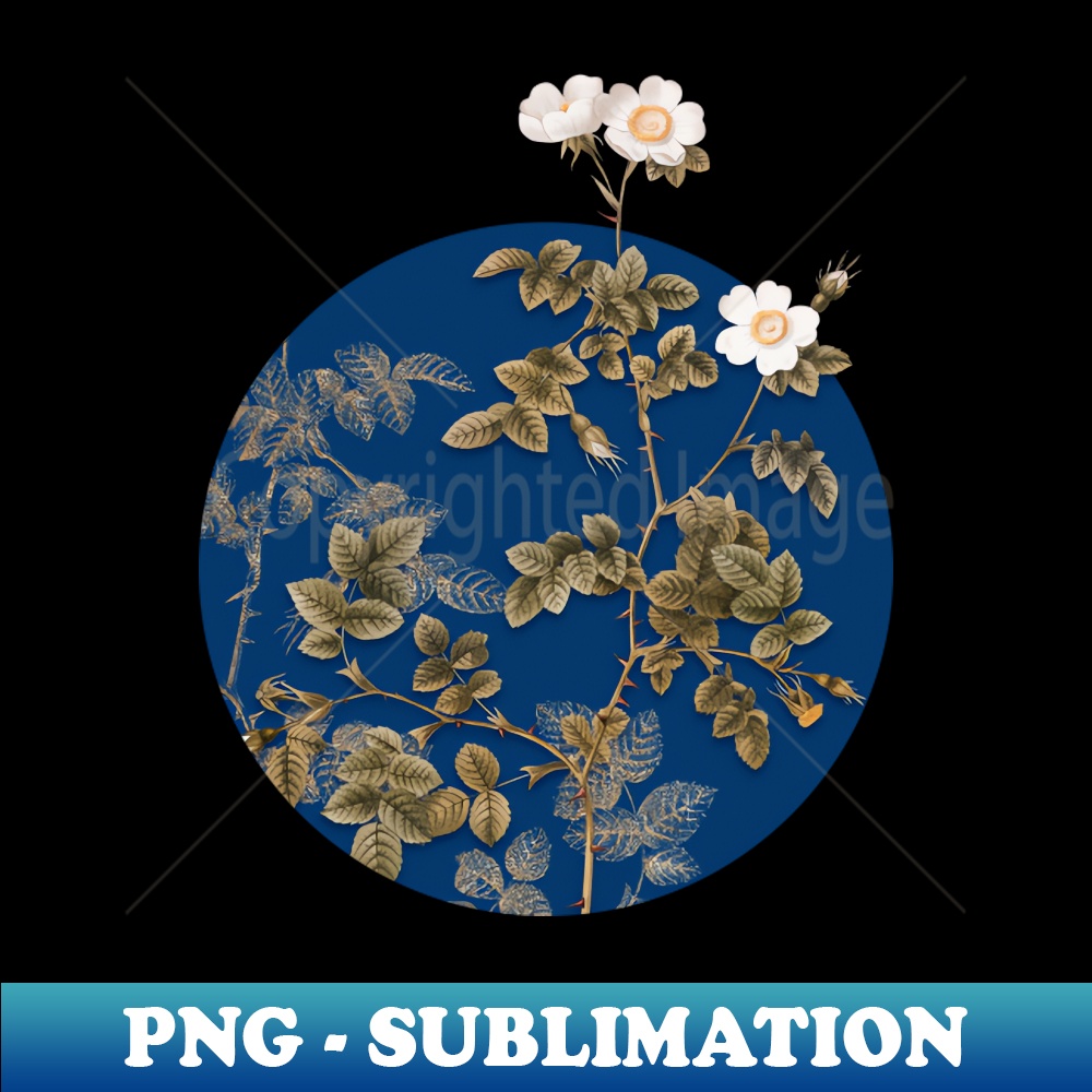 Vintage White Sweetbriar Rose Botanical Illustration on Circle - Retro PNG Sublimation Digital Download