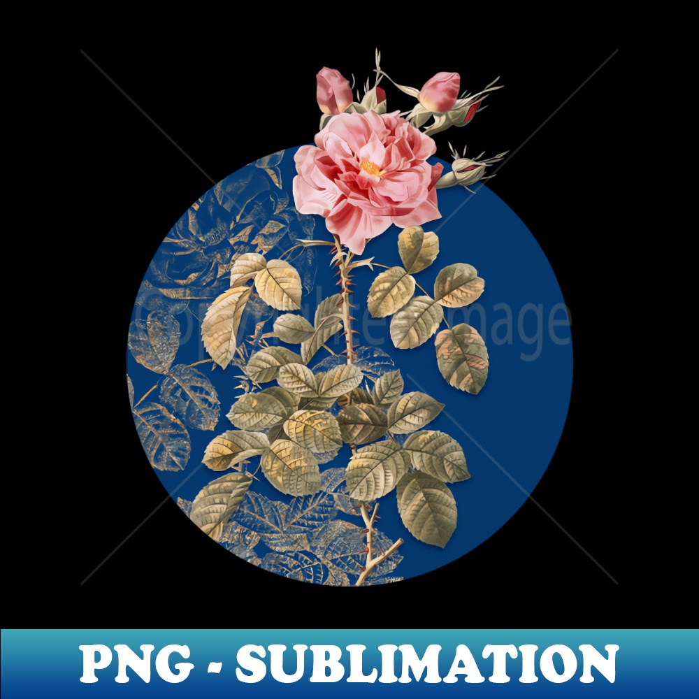 Vintage Four Seasons Rose in Bloom Botanical Illustration on Circle - Trendy Sublimation Digital Download