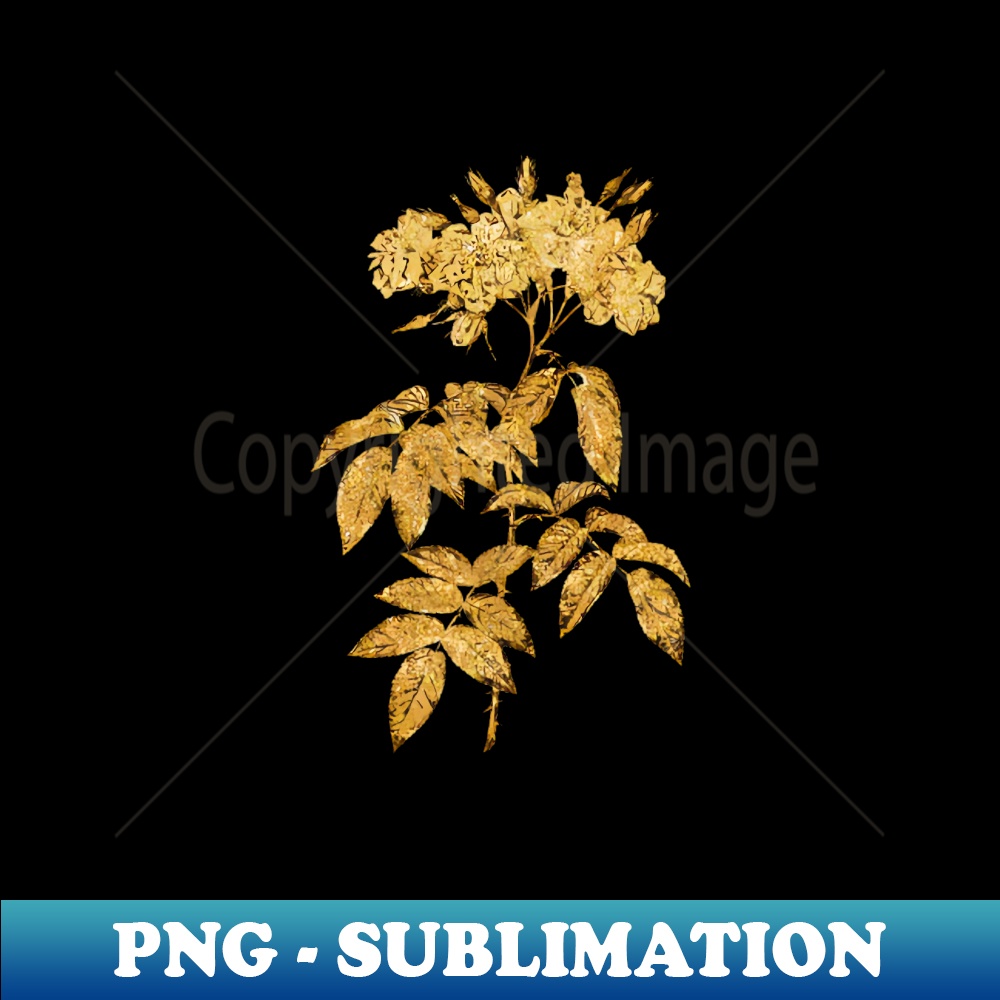 Vintage Gilded Blooming Musk Rose Botanical Gold Leaf - Retro PNG Sublimation Digital Download