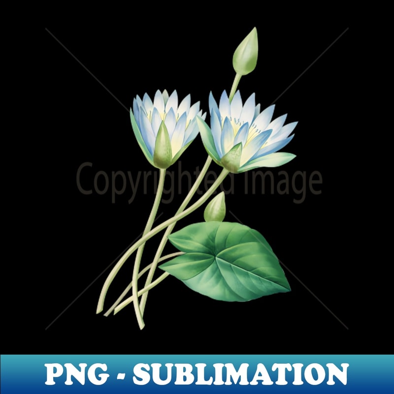 Vintage Egyptian Lotus Botanical Illustration - Professional Sublimation Digital Download