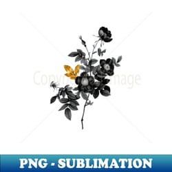 black and gold leaf - blooming alpine rose - vintage botanical