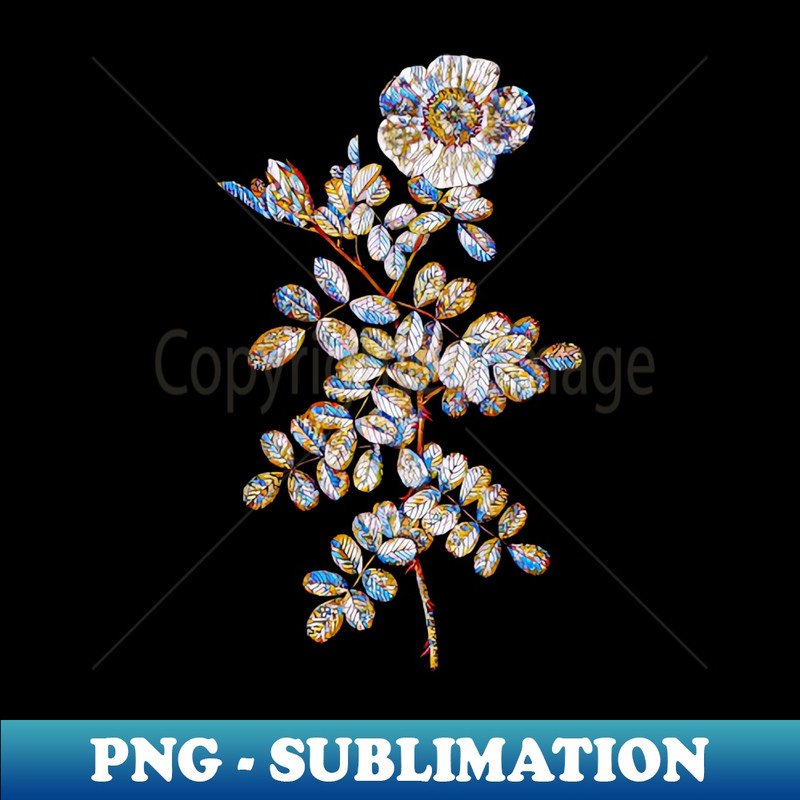 Stained Glass Blooming Macartney Rose Botanical Illustration - Instant PNG Sublimation Download