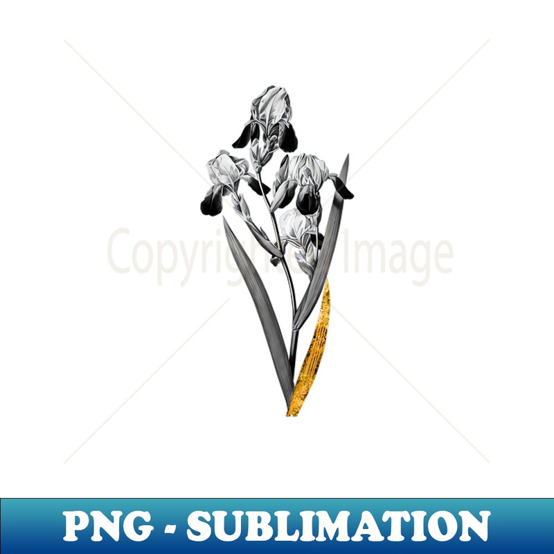 Black and Gold Leaf - Elder Scented Iris - Vintage Botanical - Retro PNG Sublimation Digital Download