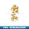 Vintage Gilded Turban Lily Botanical Gold Leaf - Instant PNG Sublimation Download