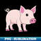 Pig - Premium PNG Sublimation File