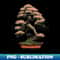Bonsai Tree in a Pot - Modern Sublimation PNG File