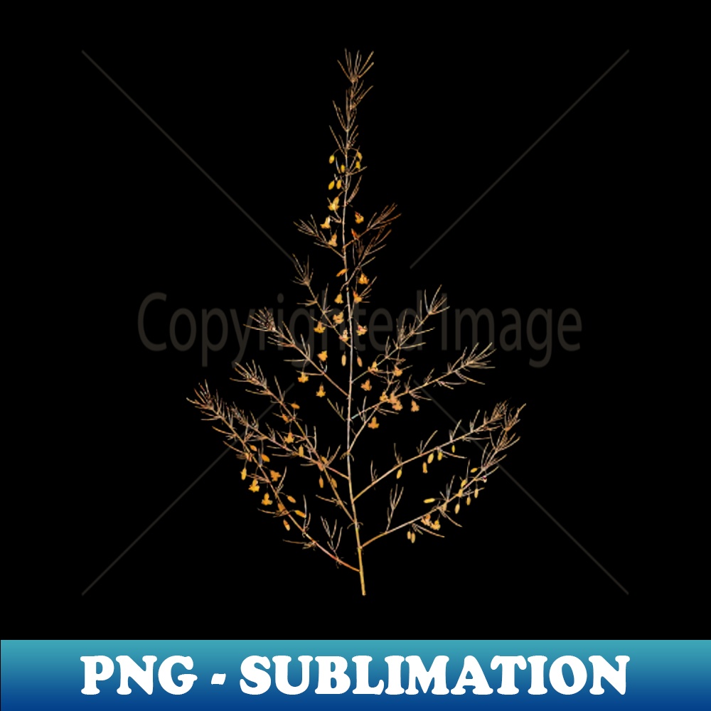 Gold Prism Mosaic Sea Asparagus Botanical Illustration - Elegant Sublimation PNG Download