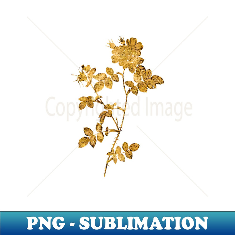 Vintage Gilded Pink Sweetbriar Roses Botanical Gold Leaf - High-Quality PNG Sublimation Download