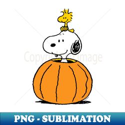 peanuts - snoopy woodstock pumpkin