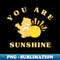 Care Bears Funshine Bear You Are Sunshine Vintage Sunny Icon - Stylish Sublimation Digital Download