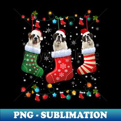 saint bernard christmas socks funny pajama xmas dog lover - sublimation-ready png file