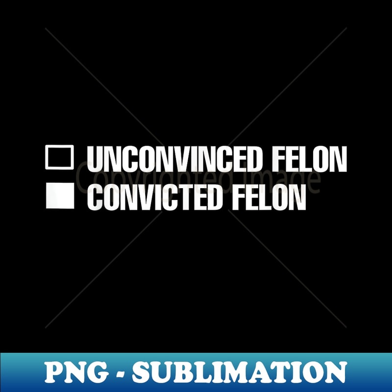 Joe Biden Vs Convicted Felon Funny Ballot Paper Voting Humor - Stylish Sublimation Digital Download