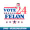 Vote Felon 2024 USA Election 2024 Funny Vote 5818.jpg