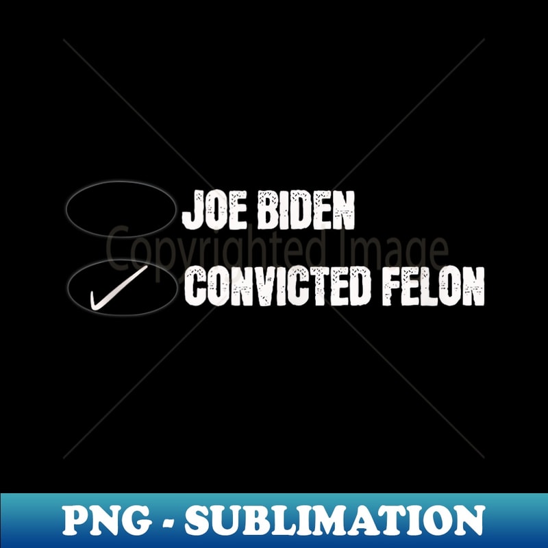 Joe Biden Vs Convicted Felon Funny Ballot Paper Voting Humor - Professional Sublimation Digital Download
