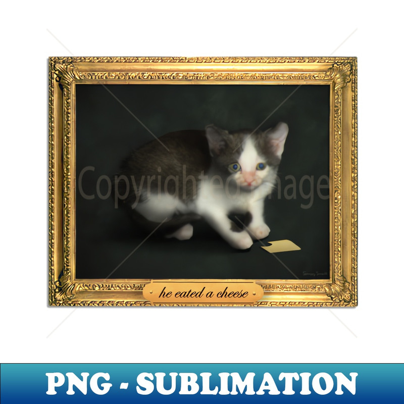 Cheese Cat Meme - Retro PNG Sublimation Digital Download