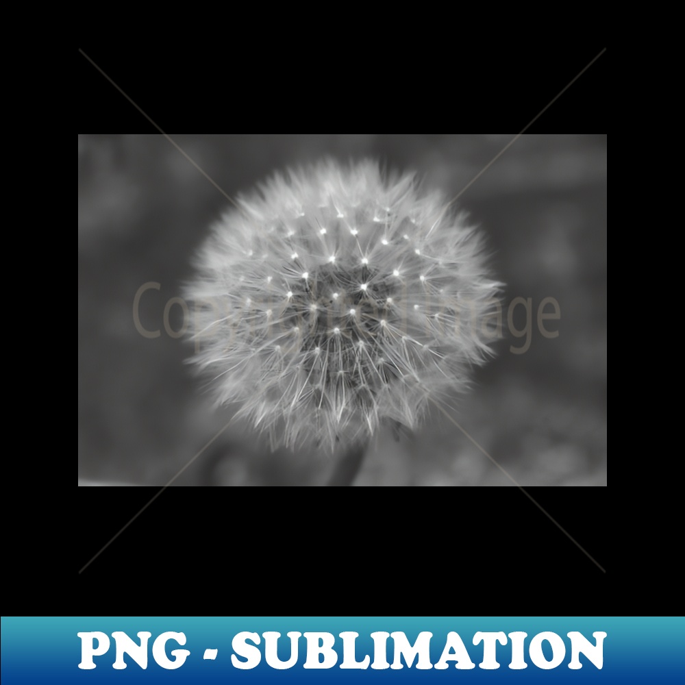 Dandelion Clock - High-Quality PNG Sublimation Download