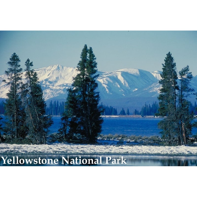 Yellowstone National Park Park Usa American Travel Poster Repro.jpg