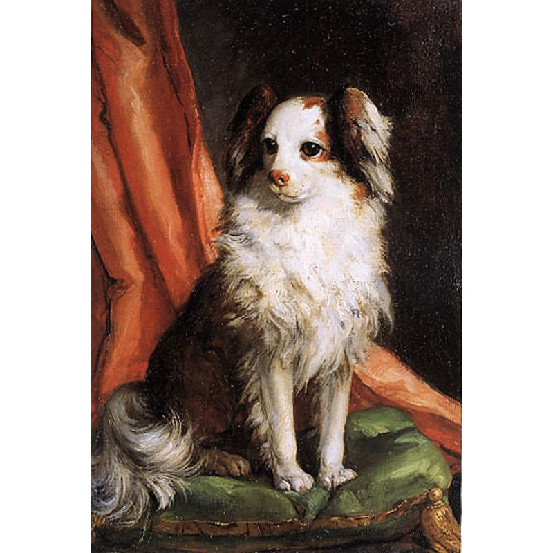 Portrait Of A Toy Spaniel Dog Italian Painting By Giovanni B Tiepolo Repro.jpg