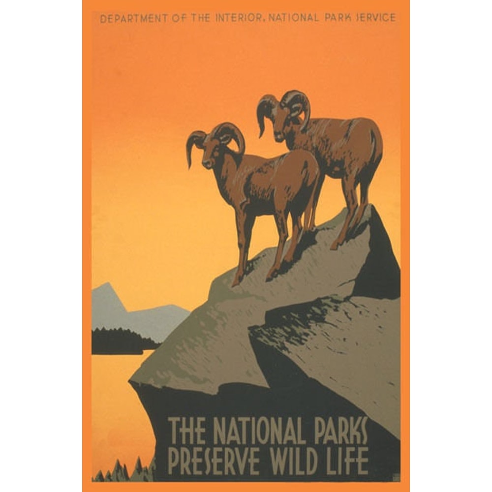 The National Parks Preserve Wild Life Sheep Animals Usa Vintage Poster Repro.jpg