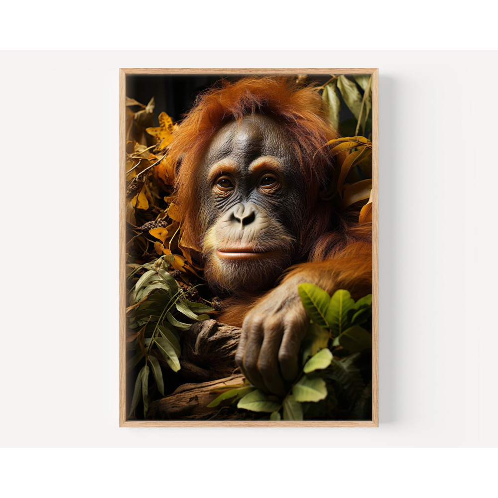 Cute Orangutan in Jungle, Printable Wall Art, Orangutan Photo, Orangutan Artwork, Bathroom Art Print, Kids Room Decoration.jpg