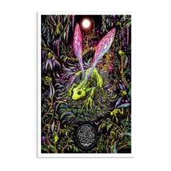 les claypool's fearless flying frog brigade tour wheatland july 11 2023 poster