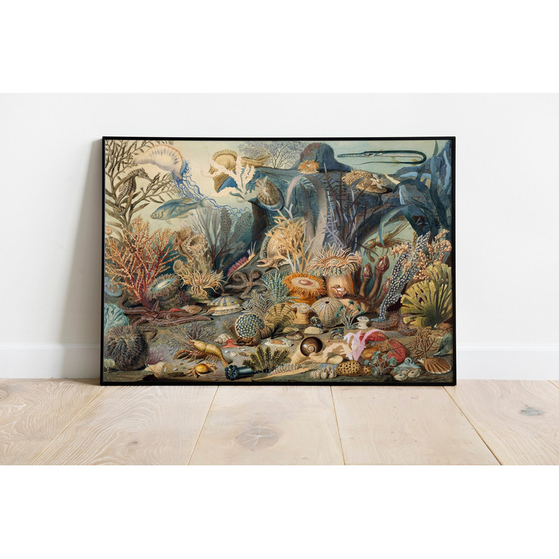 Antique Ocean Life Printable Art, Underwater Scene, Vintage Sea, Marine Biology Art, Sea Life Wall Art, Marine Life, Vintage Ocean Print.jpg