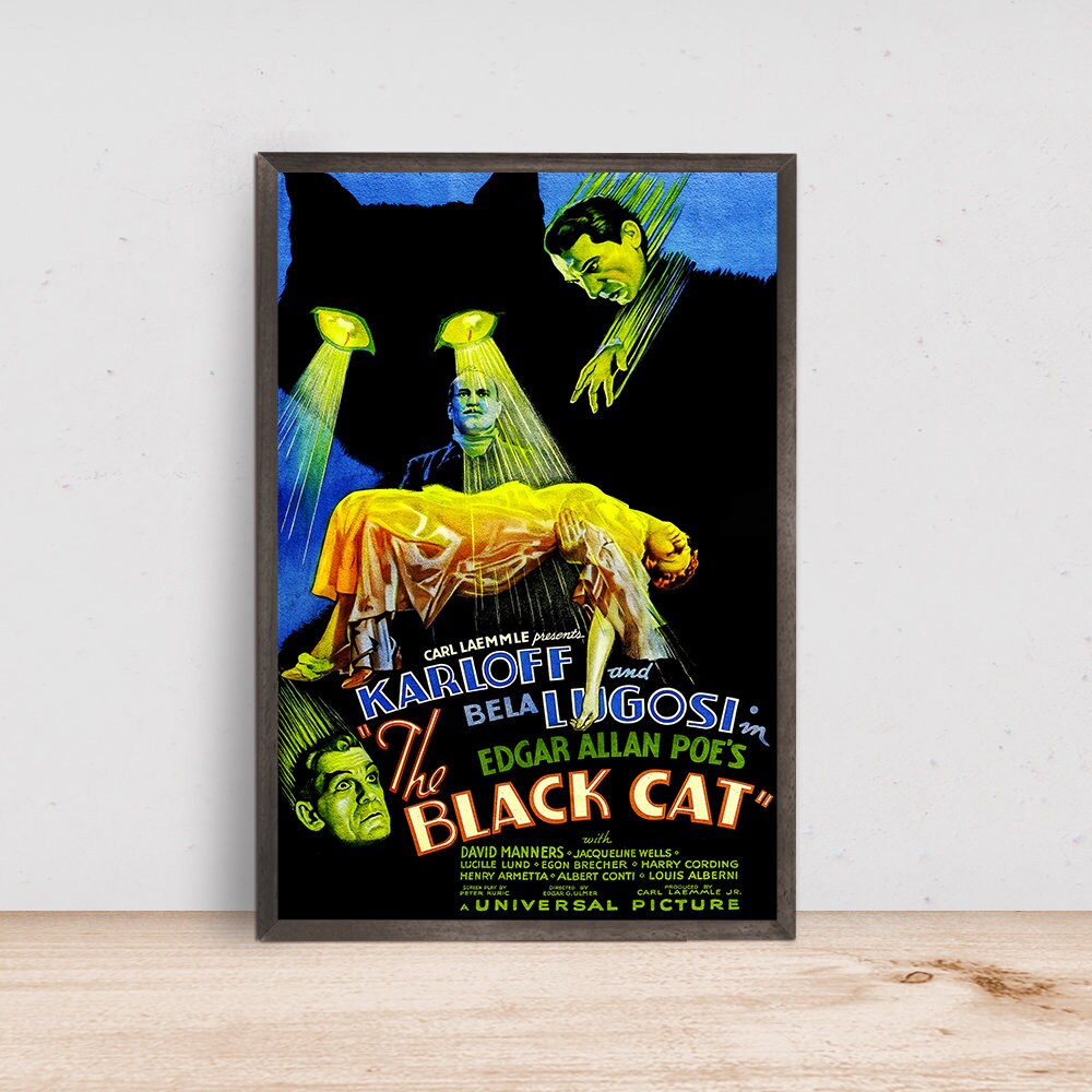 The Black Cat Movie Poster, Home Decor, Art Poster for GiftCustom Personalized Poster.jpg