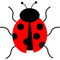 cute lady bird bug .png