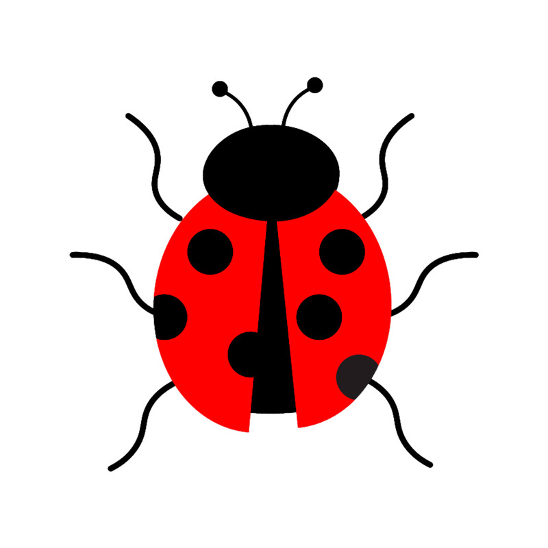 cute lady bird bug .png