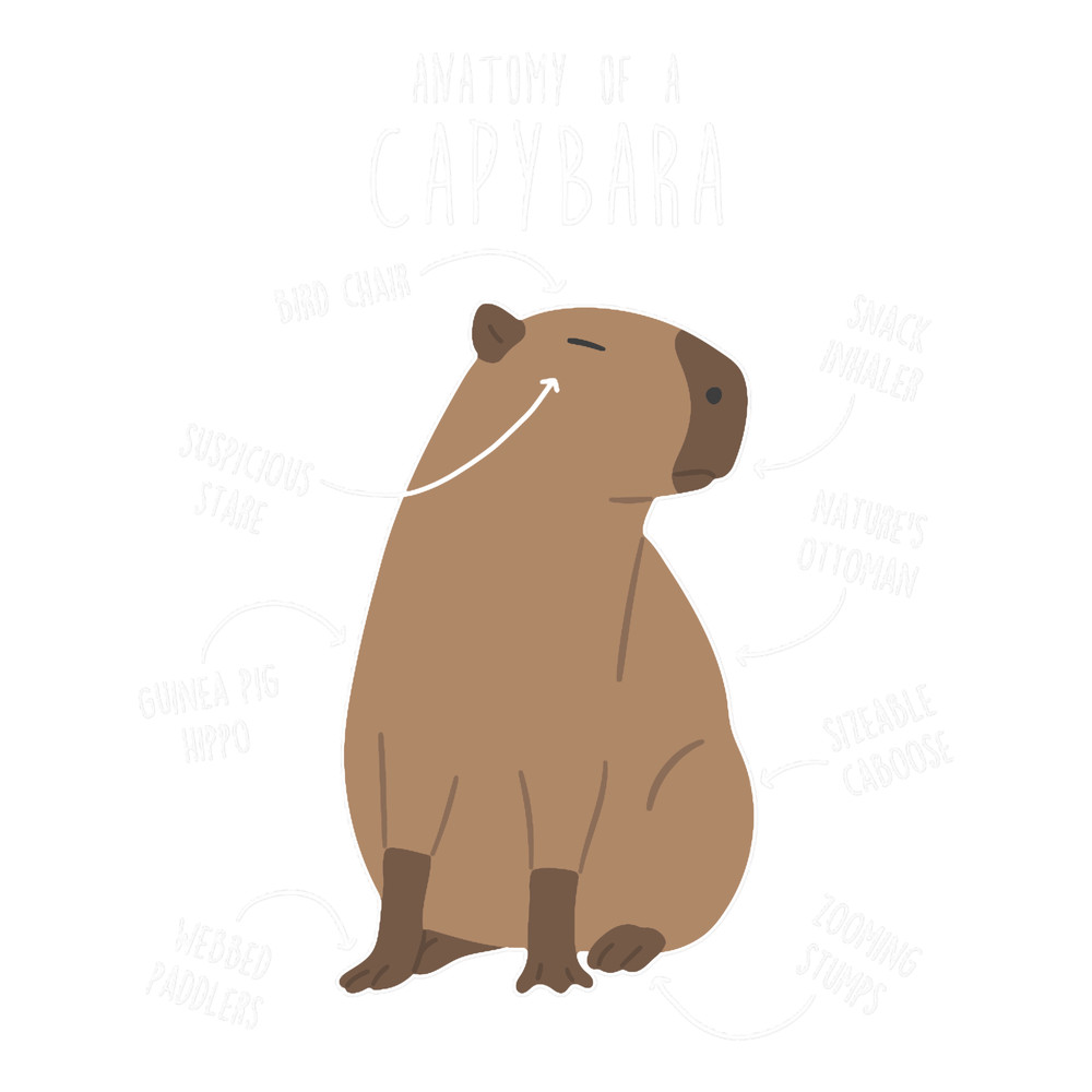 Capybara Anatomy.png