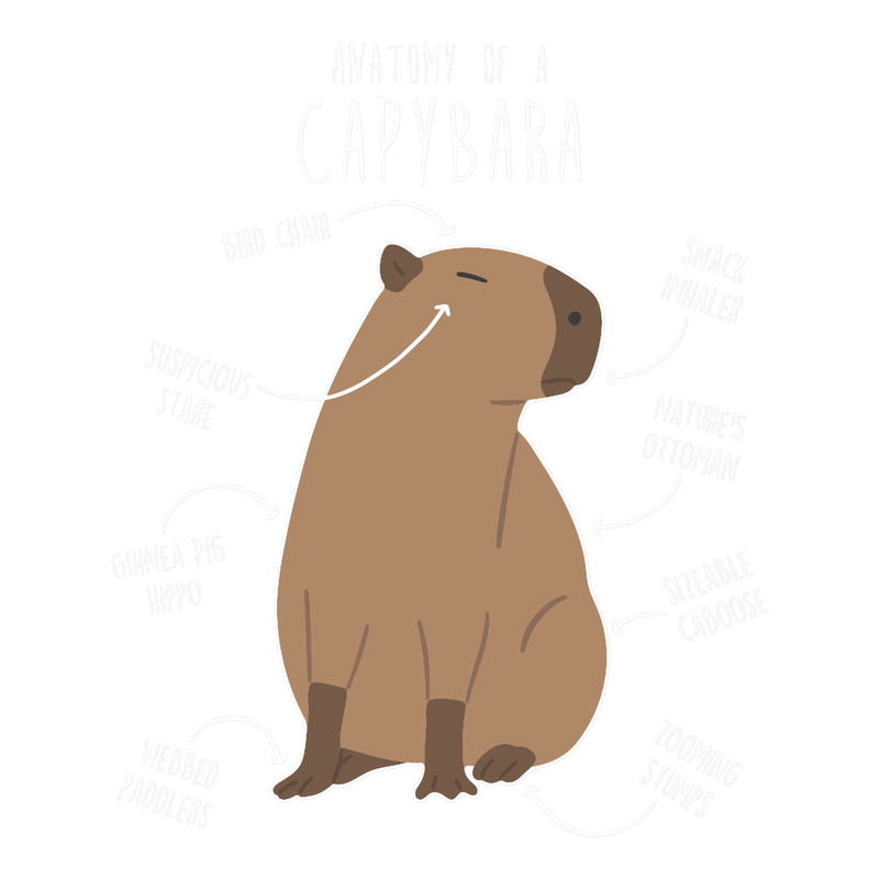 Capybara Anatomy.png