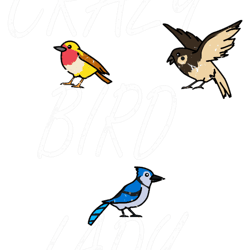 bird watch crazy bird lady