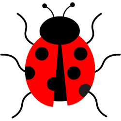 cute lady bird bug