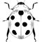 Lady bug bird.png