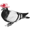 Pigeon in a Cowboy Hat.png