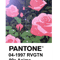 PANTONE 90s Anime (5) - Revolutionary Girl Utena .png