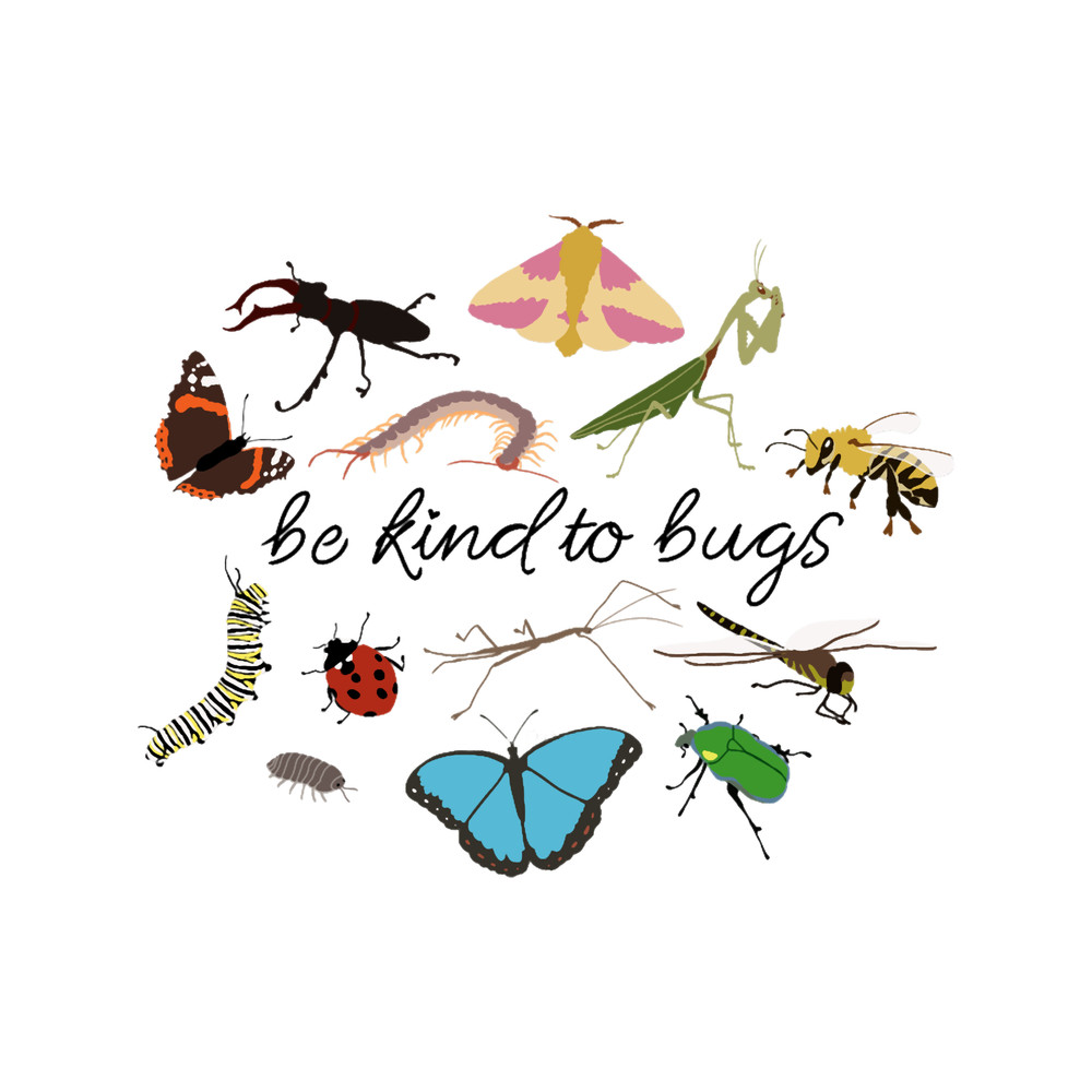 be kind to bugs.png