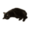 Black Cat.png